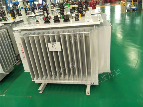 扶沟S22-1600KVA/10KV/0.4KV油浸式变压器